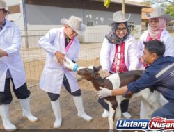Koperasi Susu Jatim Siap Dukung Program MBG, Pasuruan Andalkan Produksi Susu untuk Perkuat Gizi Nasional