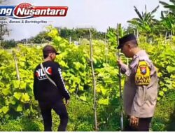 Bhabinkamtibmas Desa Siyar Dukung Ketahanan Pangan, Pastikan Tanaman Mentimun Warga Tumbuh Optimal