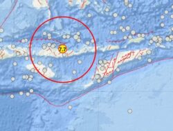 Gempa M 7,7 Guncang Nagekeo, Tsunami Terdeteksi hingga 0,94 Meter