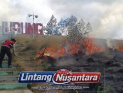Lima Hektare Lahan Kawah Wurung Terbakar, Sinergi Polisi, TNI dan Muspika Berhasil Jinakkan Api