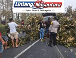 Polsek Mantup dan Warga Bergerak Cepat Evakuasi Pohon Tumbang yang Tutup Jalan Raya