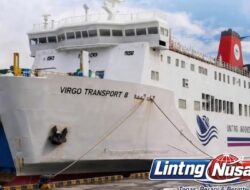Virgo Transport 8 Bawa 243 Orang Hilang Kontak di Laut Jawa, Basarnas Kerahkan Tim SAR
